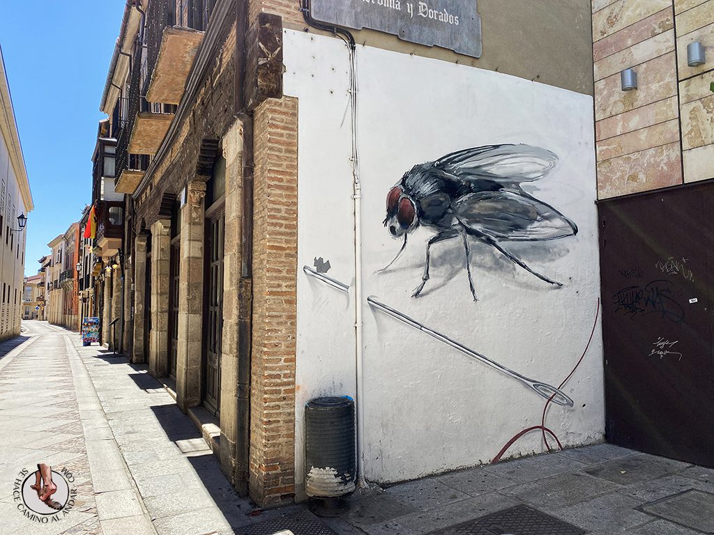 Arte urbano Zamora mural mosca
