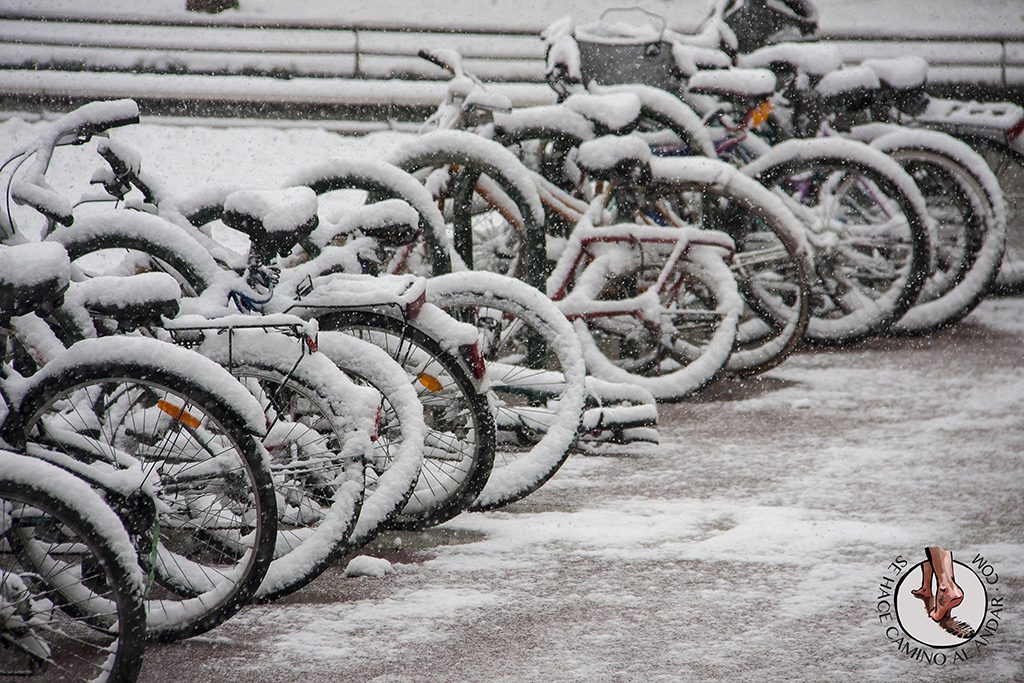 Bicicletas nieve Boulevard