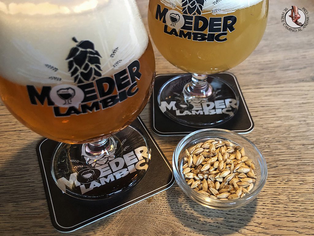 Cervecerias de Bruselas Moeder Lambic cerveza