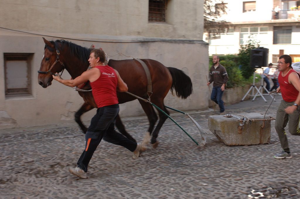 Deportes rurales vascos Herri Kirolak zaldi proba arrastre piedra caballos
