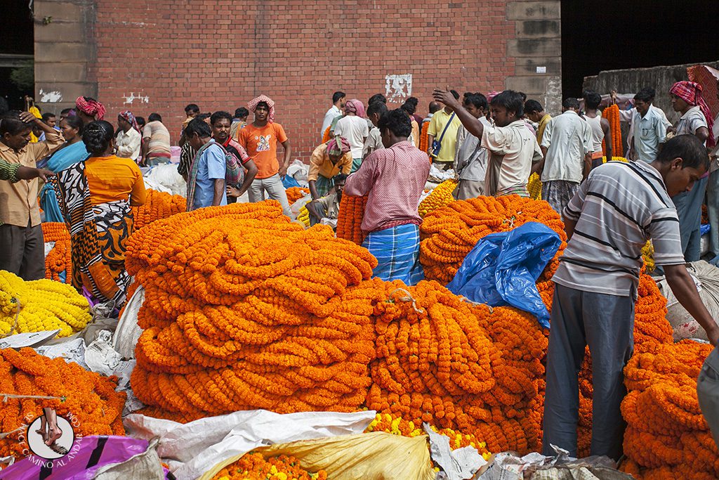 Flores para ofrendas mercado Calcuta