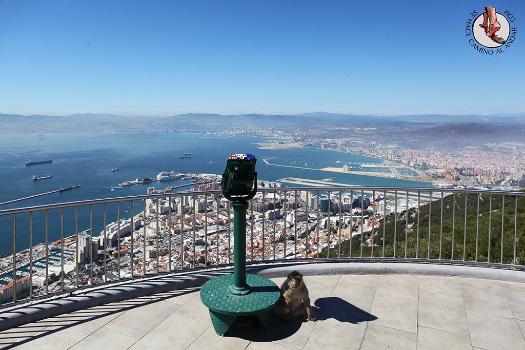Personas mono Gibraltar