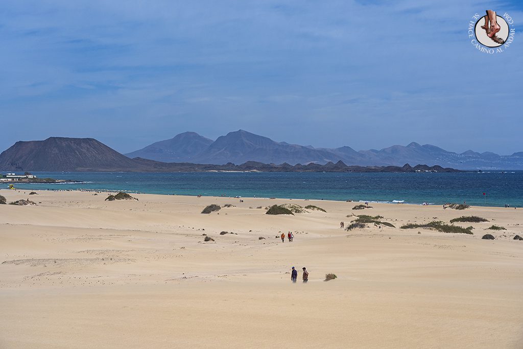 Que ver Fuerteventura dunas Corralejo playa