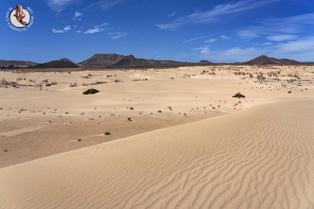 Que ver Fuerteventura dunas Corralejo