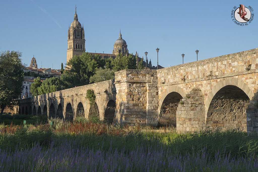 Que ver en Salamanca Puente Romano