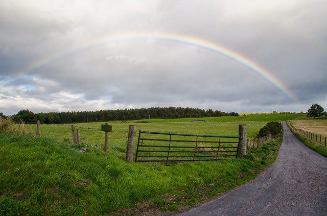 Rainbow path