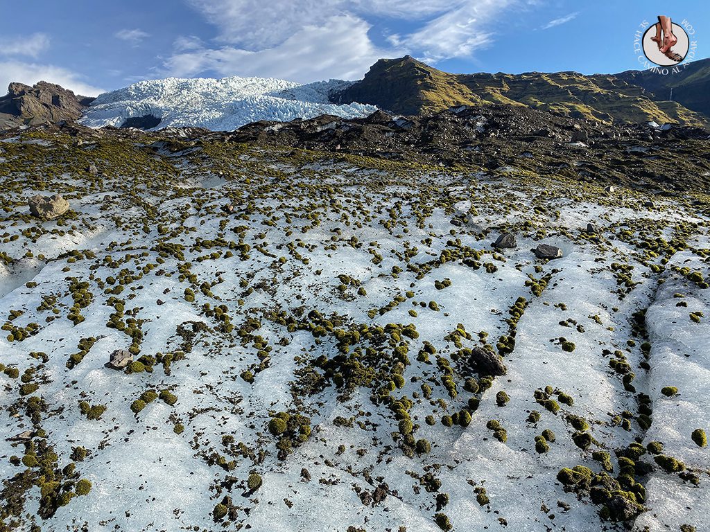 Trekking-glaciar-Falljokull-piedra-musgo