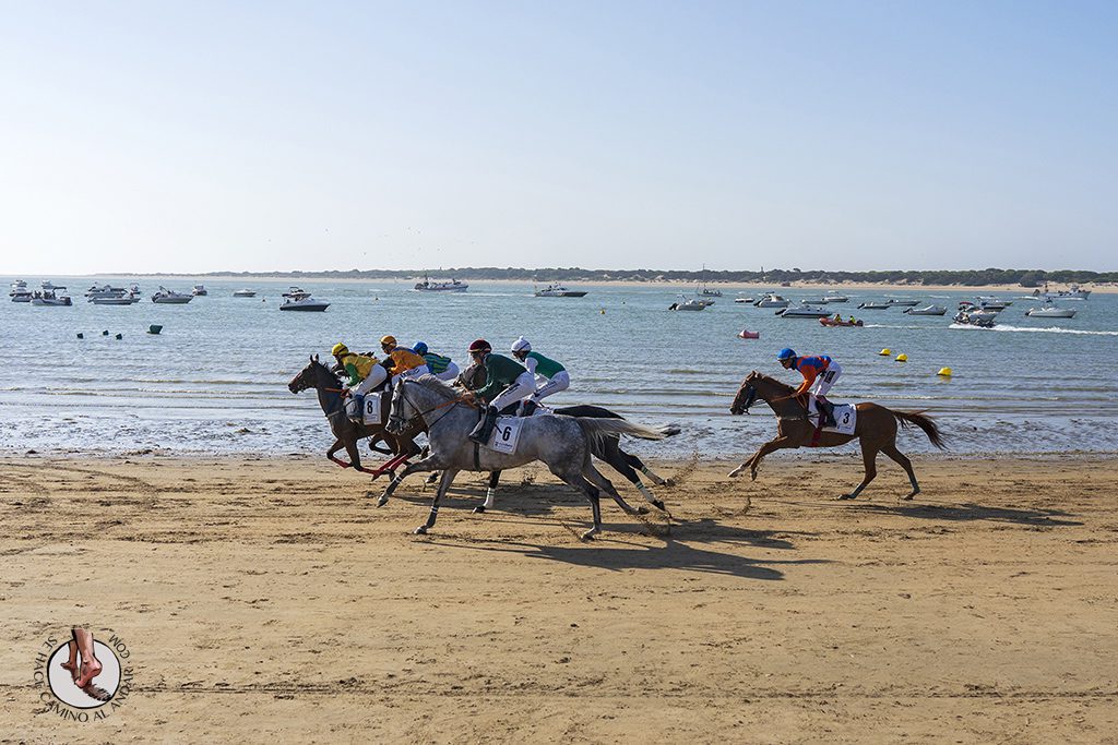 carrera caballos playa sanlucar