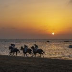 Carreras de caballos de Sanlúcar: el hipódromo en la playa