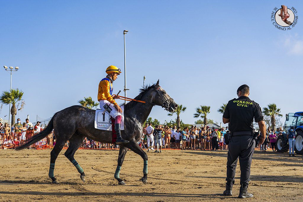 carrera caballos sanlucar participante