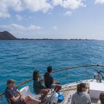 Visitar la Isla de Lobos desde Corralejo: cómo llegar en ferry