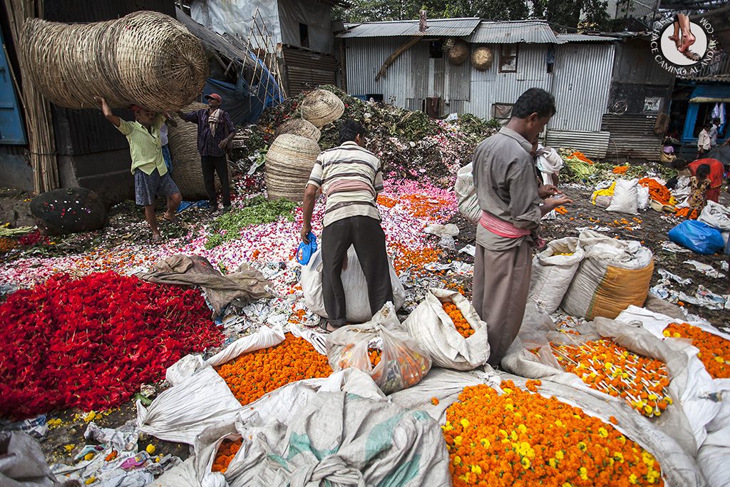 mercado flores calculta reposicion