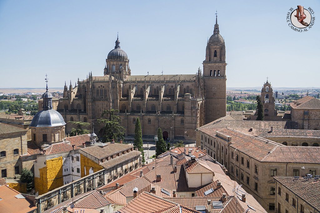 que ver en Salamanca Clerecia Scala Coeli vistas catedral