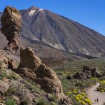 Qué ver en Tenerife: recomendaciones para visitar la isla